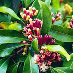 img 1987 20240125110800 zvqys