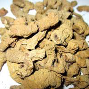 img 1989 20240125111947 m5cfw