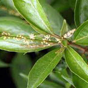 tai xuong 20240102072835 i6lvd